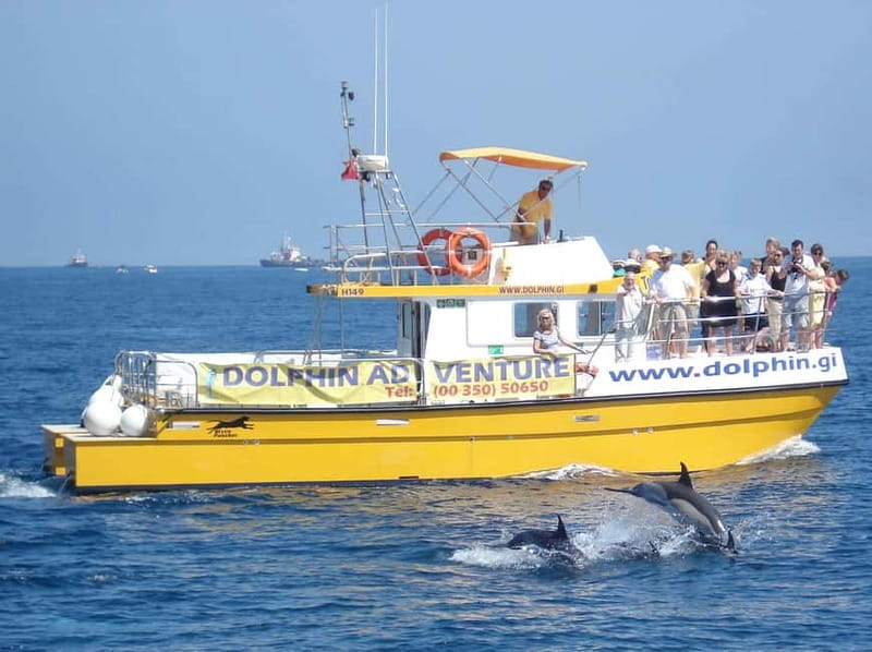 Gibraltar: Dolphin Watching Tour - Boarding the catamaran and getting settled