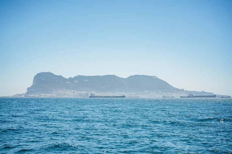 Gibraltar: Dolphin Watching Tour - What the guides add to the trip