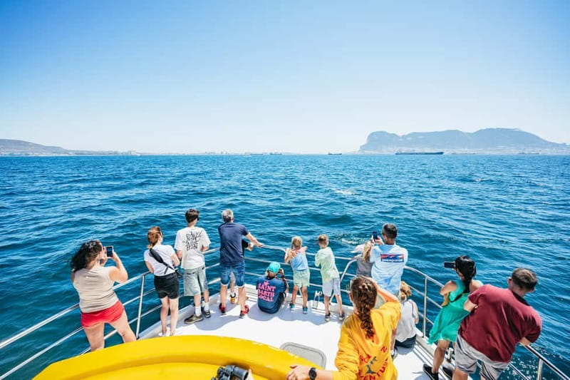 Gibraltar: Dolphin Watching Tour - Best time and best type of visitor