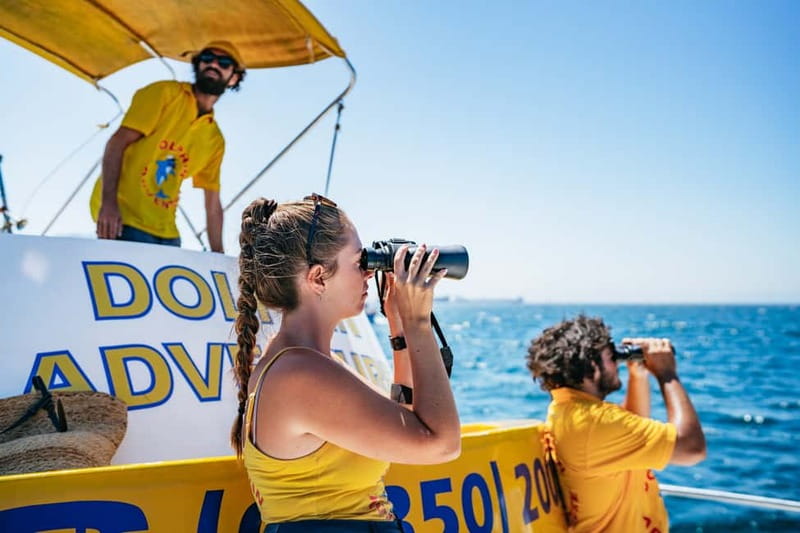 Gibraltar: Dolphin Watching Tour - Simple ways to get more from your trip