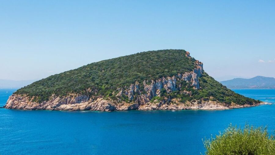 Golfo Aranci: Dolphin Watching and Snorkeling Boat Tour - Cala Greca: your first chance to swim