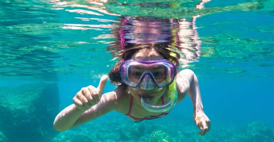 Golfo Aranci: Dolphin Watching and Snorkeling Boat Tour - Watching bottlenose dolphins in the wild