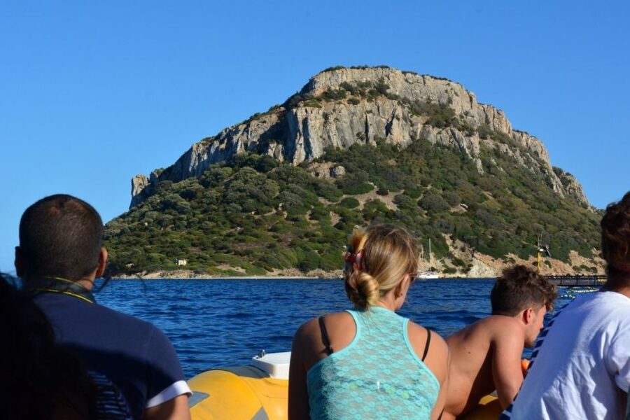 Golfo Aranci: Eco-Friendly Dolphin Watching Boat Trip - The essential details at a glance