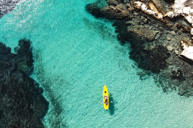 Golfo Aranci: Kayak tour with aperitif&dolphin sighting (max 9 Pax) - Key things to know before you book