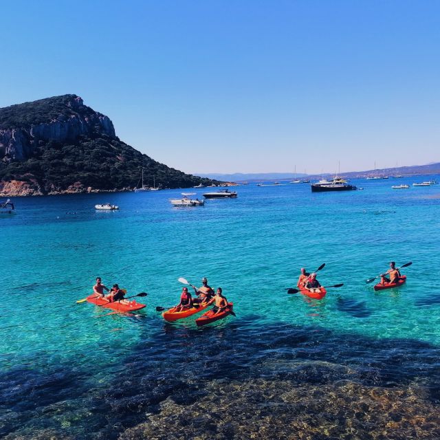 Golfo Aranci: Kayak Tour with Dolphins and Aperitif - Key points to know before you paddle