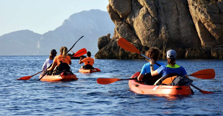 Golfo Aranci: Kayak Tour with Dolphins and Aperitif - Snorkeling with sea urchins and octopus