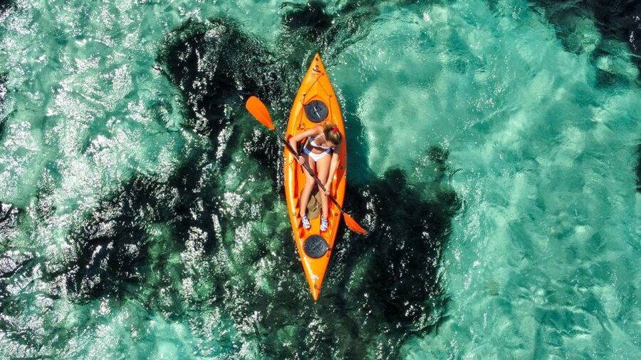 Golfo Aranci: Kayak Tour with Dolphins and Aperitif - Who will enjoy this most?