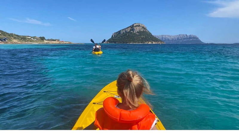 Golfo Aranci:Small group, german guided Kayak tour&Dolphins - Key points at a glance