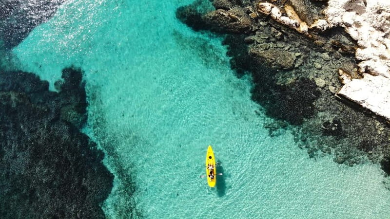Golfo Aranci:Small group, german guided Kayak tour&Dolphins - Dolphin watching near the fish farm