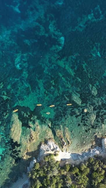 Golfo Aranci:Small group, german guided Kayak tour&Dolphins - Is $58 a good value?
