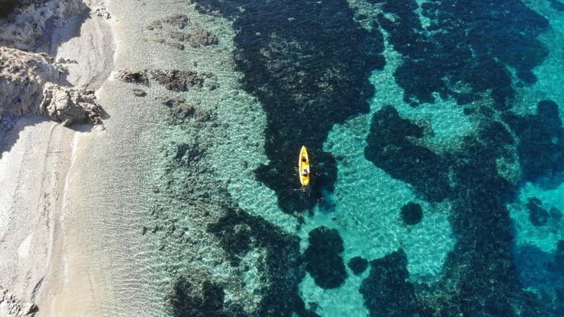 Golfo Aranci:Small group, german guided Kayak tour&Dolphins - Who will enjoy this most?