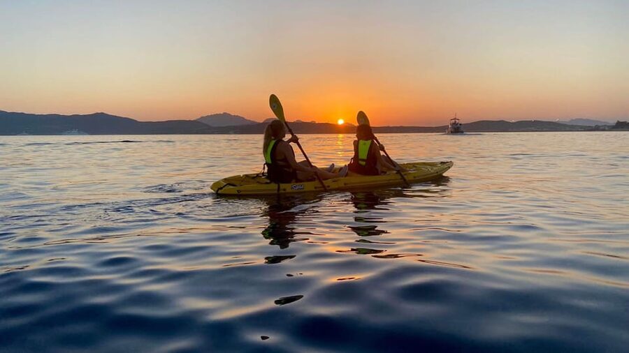 Golfo Aranci: Small group Kayak tour with Aperitif &dolphins - Watching dolphins near the fish farm
