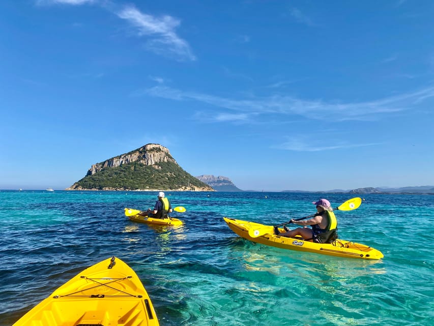Golfo Aranci: Small group Kayak tour with Aperitif &dolphins - Why the guide matters