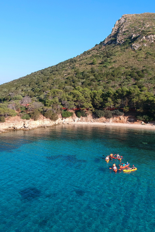Golfo Aranci: Sunrise Dolphin Kayak Tour with Breakfast - Key reasons to consider this Golfo Aranci kayak tour