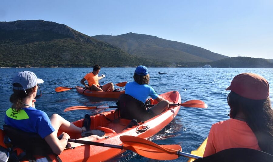 Golfo Aranci: Sunrise Dolphin Kayak Tour with Breakfast - Figarolo Island feels properly remote