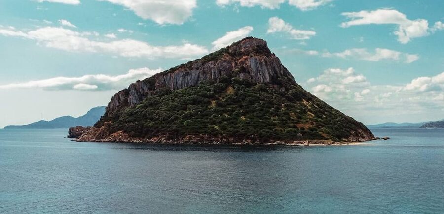 Golfo Aranci: Sunset Dolphin Kayak Tour with Aperitif - Who should book this experience?