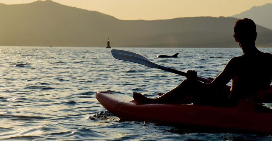 Golfo Aranci: Sunset Dolphin Kayak Tour with Aperitif - Snorkeling in Sardinia’s clear water