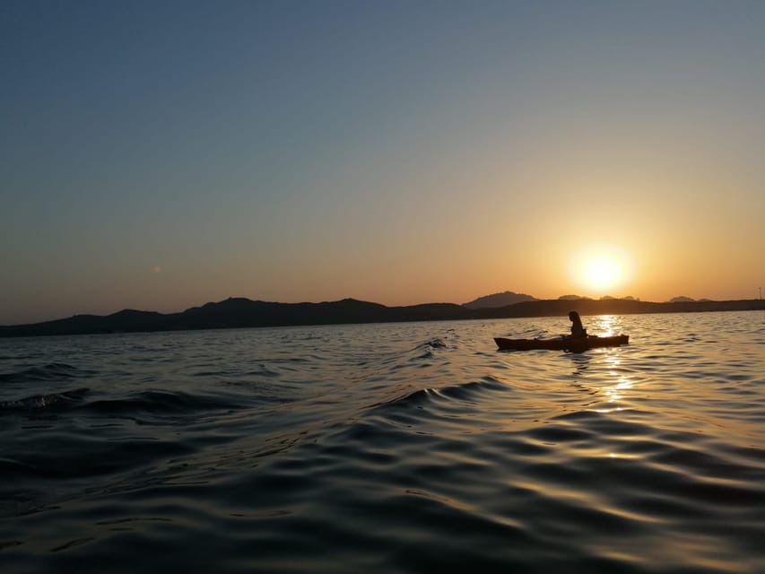 Golfo Aranci: Sunset Dolphin Kayak Tour with Aperitif - Searching for dolphins near sunset