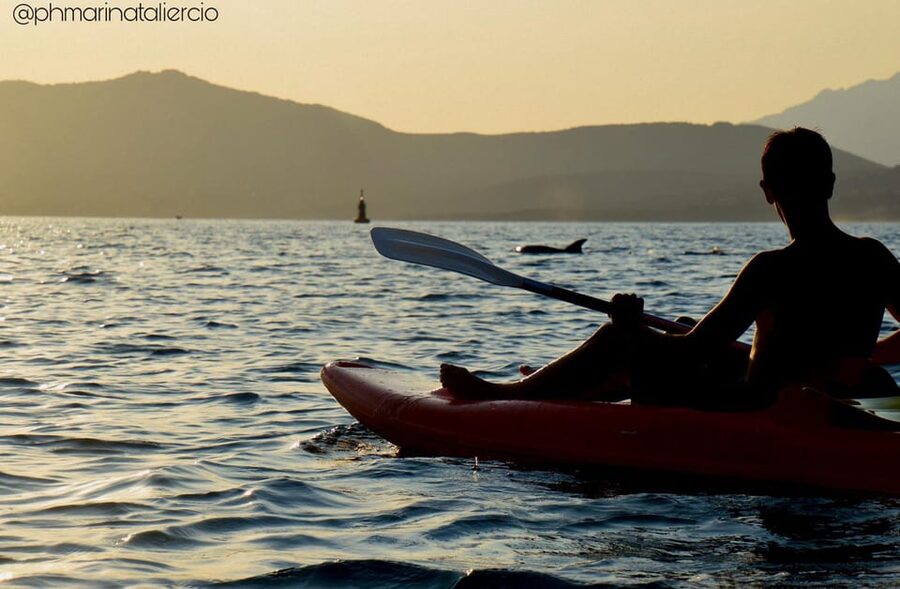 Golfo Aranci: Sunset Dolphin Kayak Tour with Aperitif - Sunset from a low seat on the sea