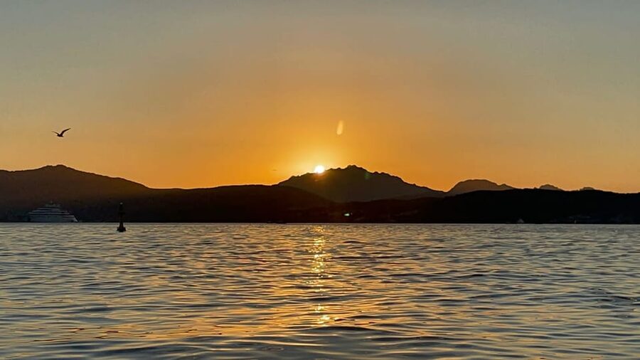 Golfo Aranci: Sunset Dolphin Kayak Tour with Aperitif - Guides, language, and organization