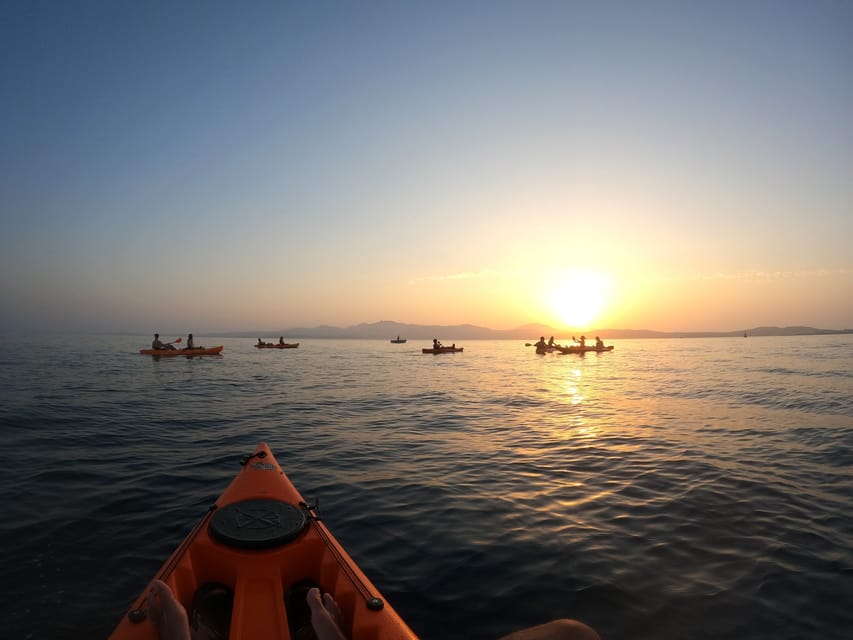 Golfo Aranci: Sunset Dolphin Kayak Tour with Aperitif - Is $65 a fair price?