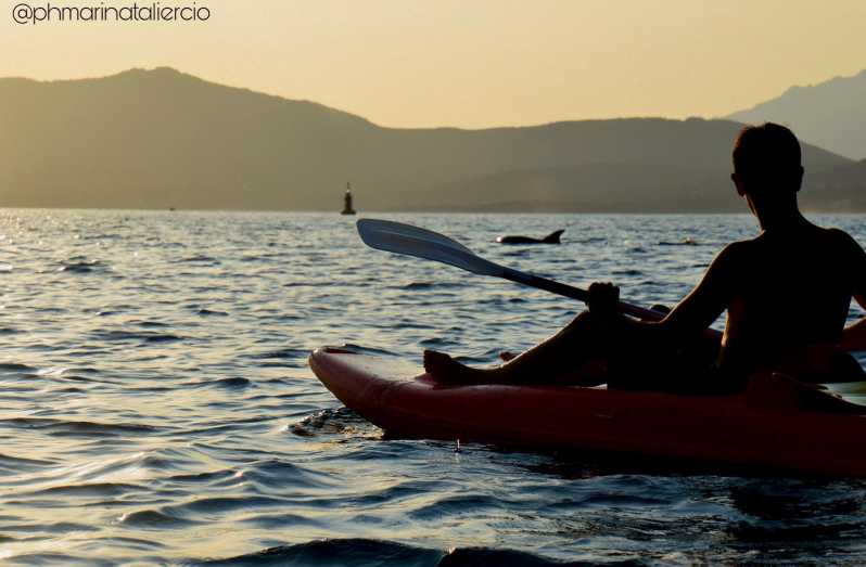 Golfo Aranci: Sunset Dolphin Kayak Tour with Aperitif - A short kayak lesson before the coast opens up