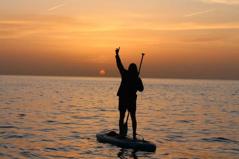 Golfo Aranci: Sup with dolphins, aperitif & photo shoot - Key points to know before booking