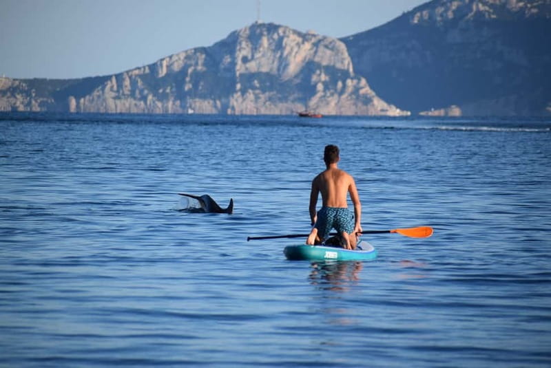 Golfo Aranci: Sup with dolphins, aperitif & photo shoot - The 15-minute lesson at Spiaggia dei Baracconi