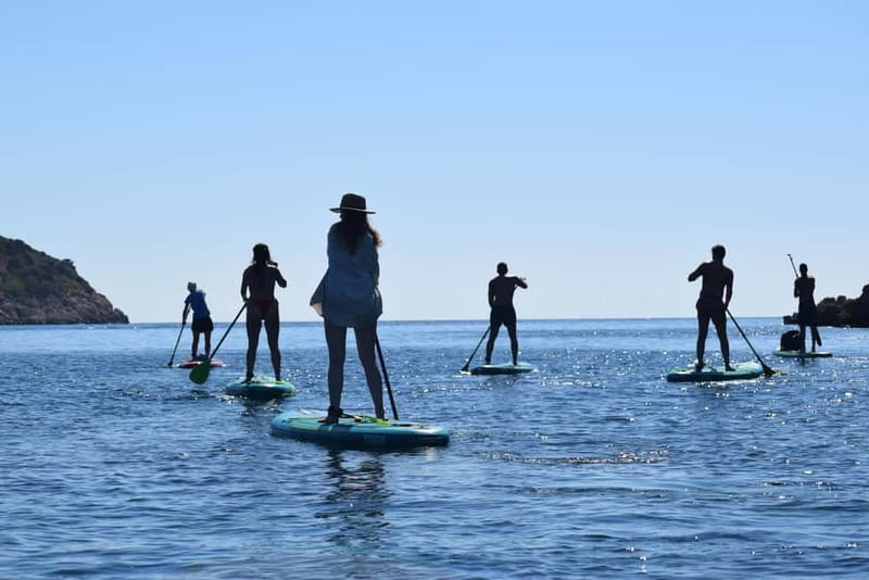 Golfo Aranci: Sup with dolphins, aperitif & photo shoot - Figarolo Island and the Sardinian food stop