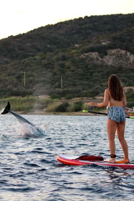 Golfo Aranci: Sup with dolphins, aperitif & photo shoot - Who will enjoy this most?