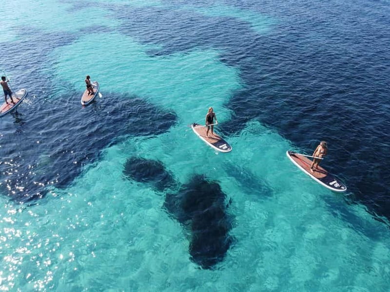 Golfo Aranci tour SUP Paddleboard Dolphin watching, aperitif - The 20-minute lesson at Spiaggia dei Baracconi