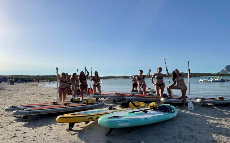 Golfo Aranci tour SUP Paddleboard Dolphin watching, aperitif - Swimming, snorkeling, and marine life