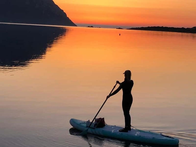 Golfo Aranci tour SUP Paddleboard Dolphin watching, aperitif - What the $68 price includes