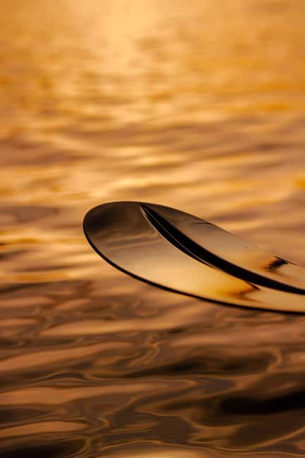 Golfo Aranci: traditional or transparent kayaks, dolphins, and aperitifs - Starting at Baracconi Beach in Golfo Aranci
