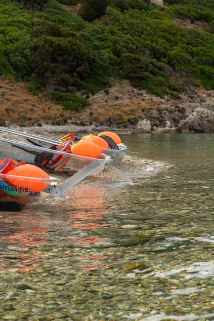 Golfo Aranci: traditional or transparent kayaks, dolphins, and aperitifs - Watching for dolphins in Golfo Aranci