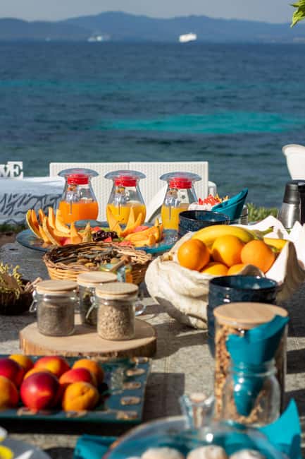 Golfo Aranci: traditional or transparent kayaks, dolphins, and aperitifs - Who should book this kayak tour?