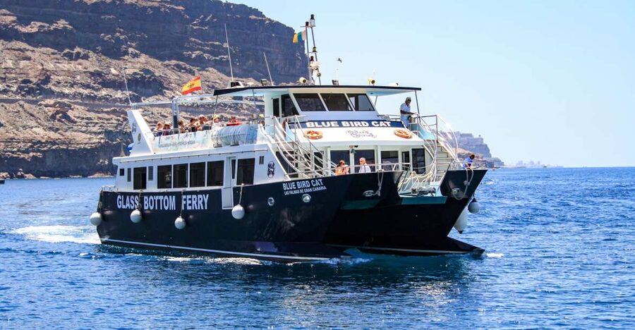 Gran Canaria: Catamaran Dolphin Watch Cruise with Snorkeling - Key points to know before you book