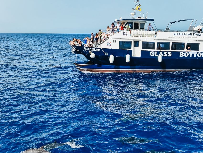 Gran Canaria: Catamaran Dolphin Watch Cruise with Snorkeling - Setting sail from Puerto Base