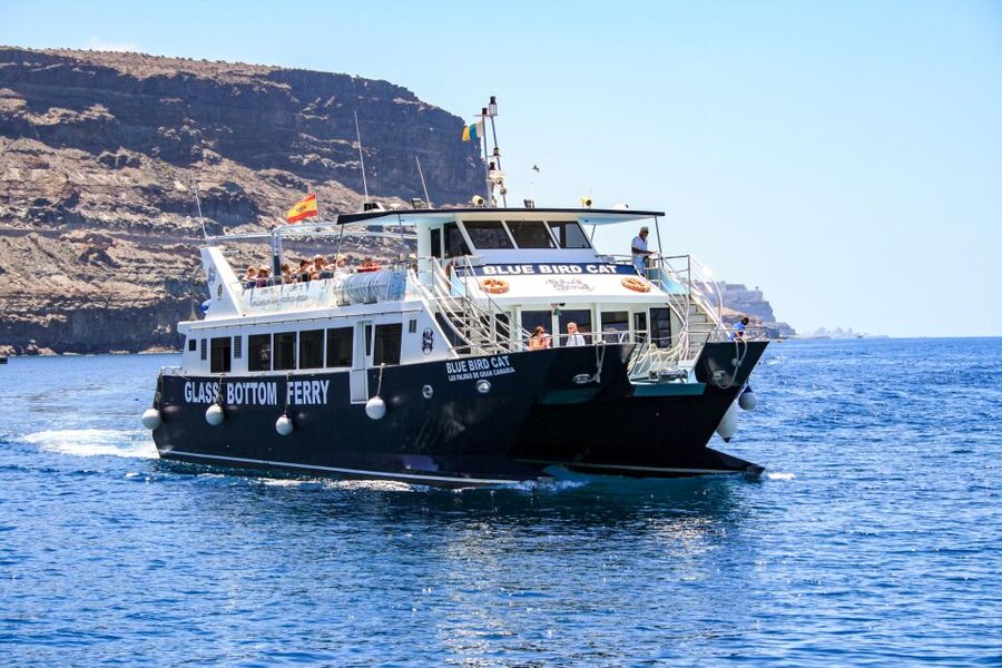 Gran Canaria: Catamaran Dolphin Watch Cruise with Snorkeling - The lower viewing panels
