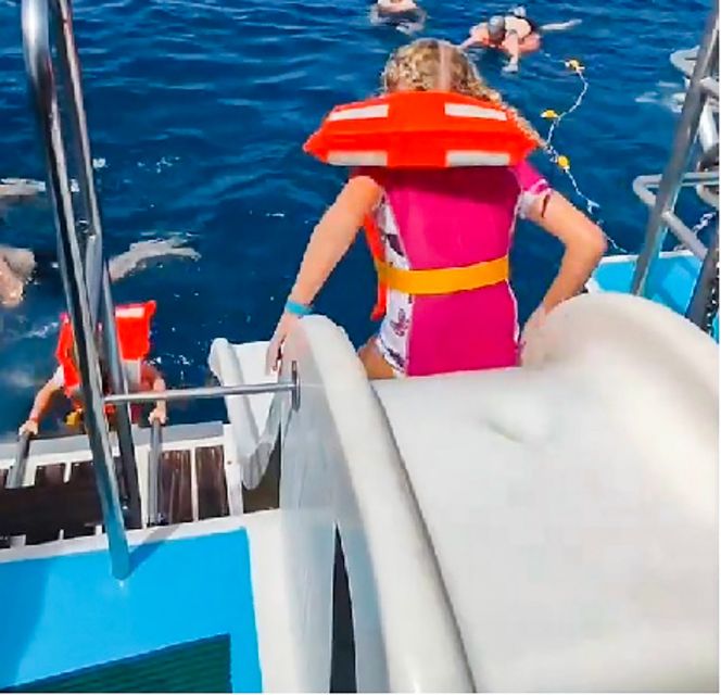 Gran Canaria: Catamaran Dolphin Watch Cruise with Snorkeling - Two hours searching the Atlantic