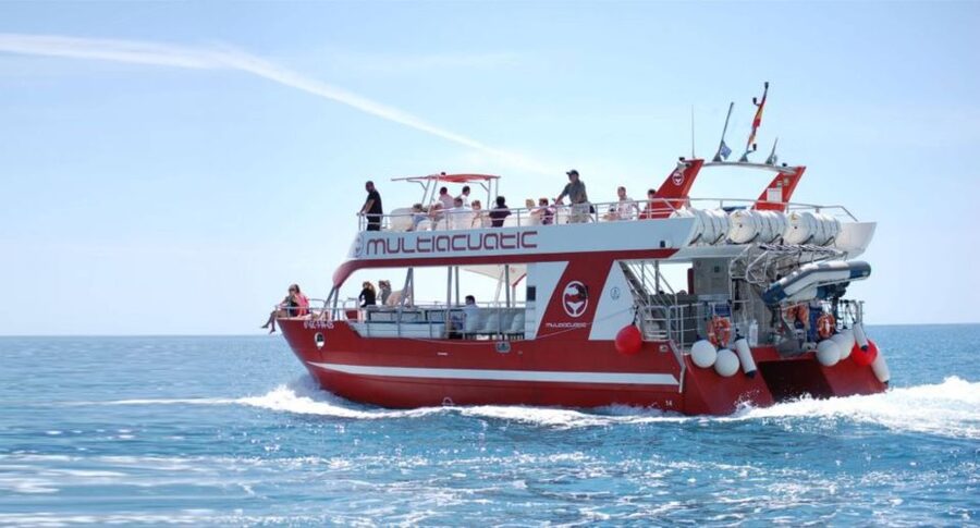 Gran Canaria: Dolphin and Whale Watching Cruise - Key points before you book