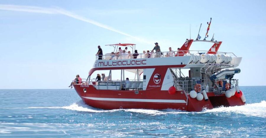 Gran Canaria: Dolphin and Whale Watching Cruise - The wildlife you might see