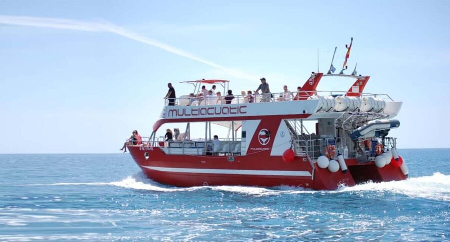 Gran Canaria Dolphin Safari and a swim - The 80-minute road transfer