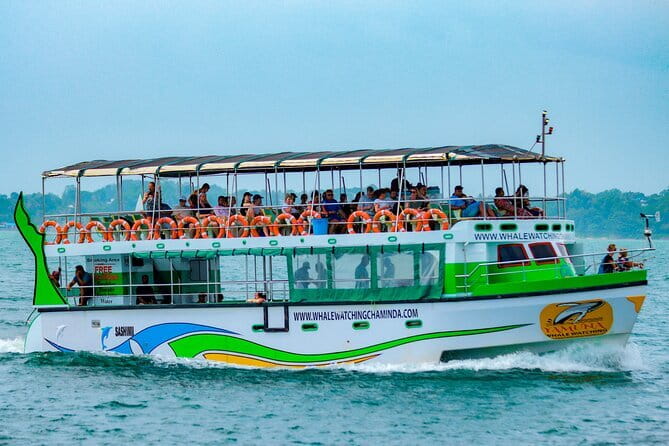Great Whales Education Programe Dolphins and Whales are in SL - Meeting the common species in Sri Lankan waters