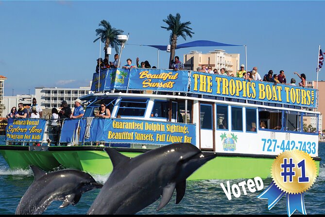 Guaranteed Dolphin Sighting Tour on Tropics Boat Tours - Choosing the best time for your plans