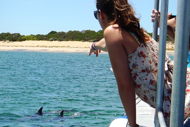 Guided Dolphin Eco-Cruise in Koombana Bay - Why Koombana Bay is a good place for dolphin watching