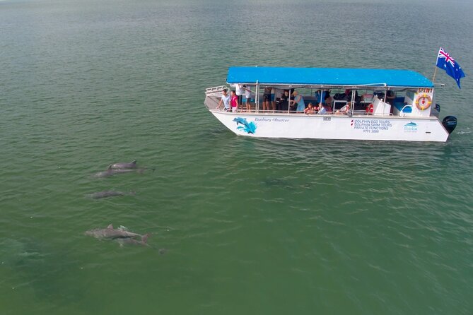 Guided Dolphin Eco-Cruise in Koombana Bay - How to prepare for a comfortable outing