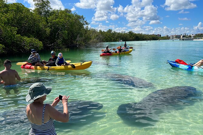 Guided Dolphin Eco Tour by Kayak & SUP - Fort Myers Beach, FL - Key points at a glance
