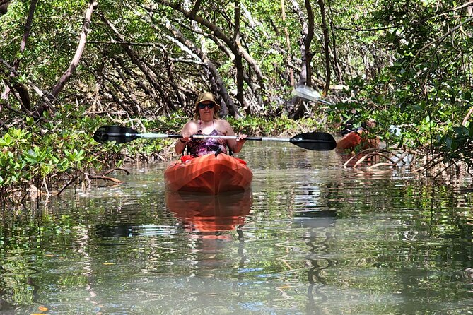 Guided Dolphin Eco Tour by Kayak & SUP - Fort Myers Beach, FL - Starting near Bonita Springs, not central Naples