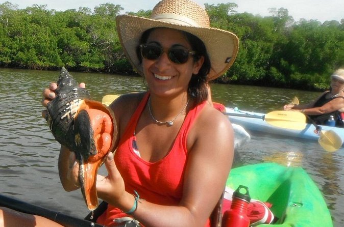 Guided Dolphin Eco Tour by Kayak & SUP - Fort Myers Beach, FL - Timing, weather, and cancellation rules
